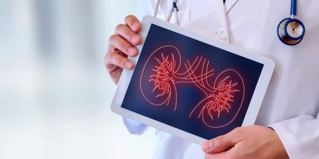 How You Can Take Control of Your Kidney Health