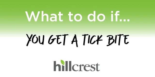 What to do if … you get a tick bite